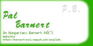 pal barnert business card